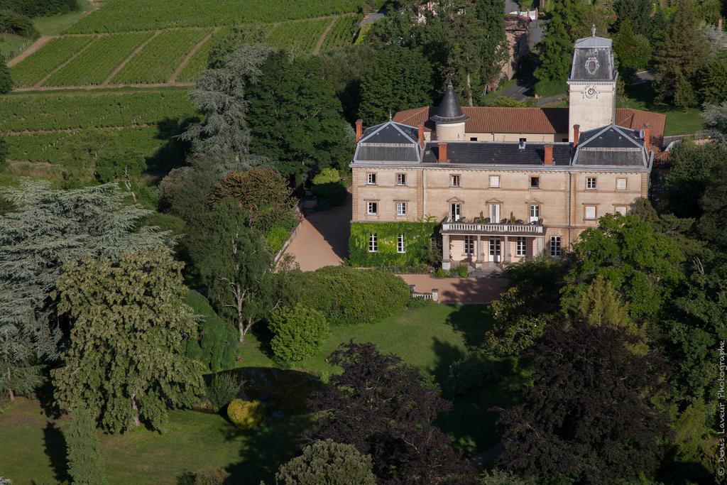 Chateau De Bellevue B&B Villié-Morgon Exterior photo